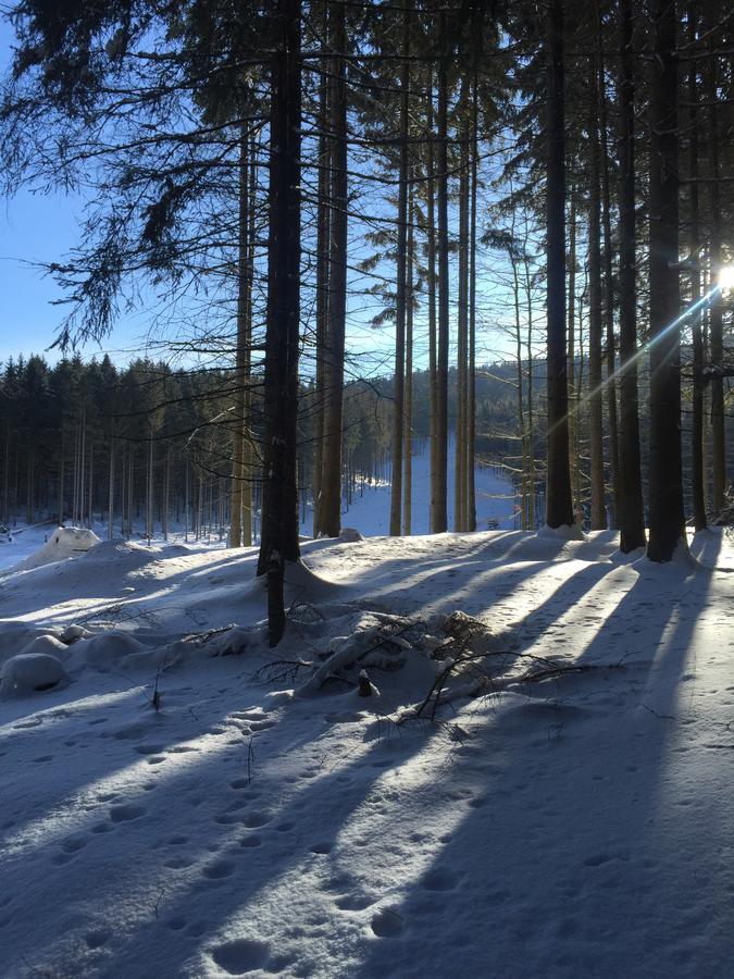 Apartmany Sportrelax Албректіце в Їзерських горах Екстер'єр фото